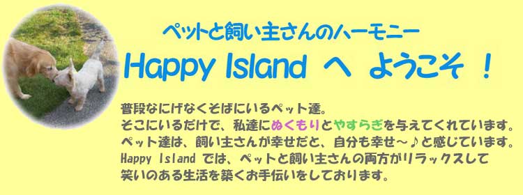 Happy Island ł͓Ǝ傳̗bNXď΂̂邨`Ă܂BB